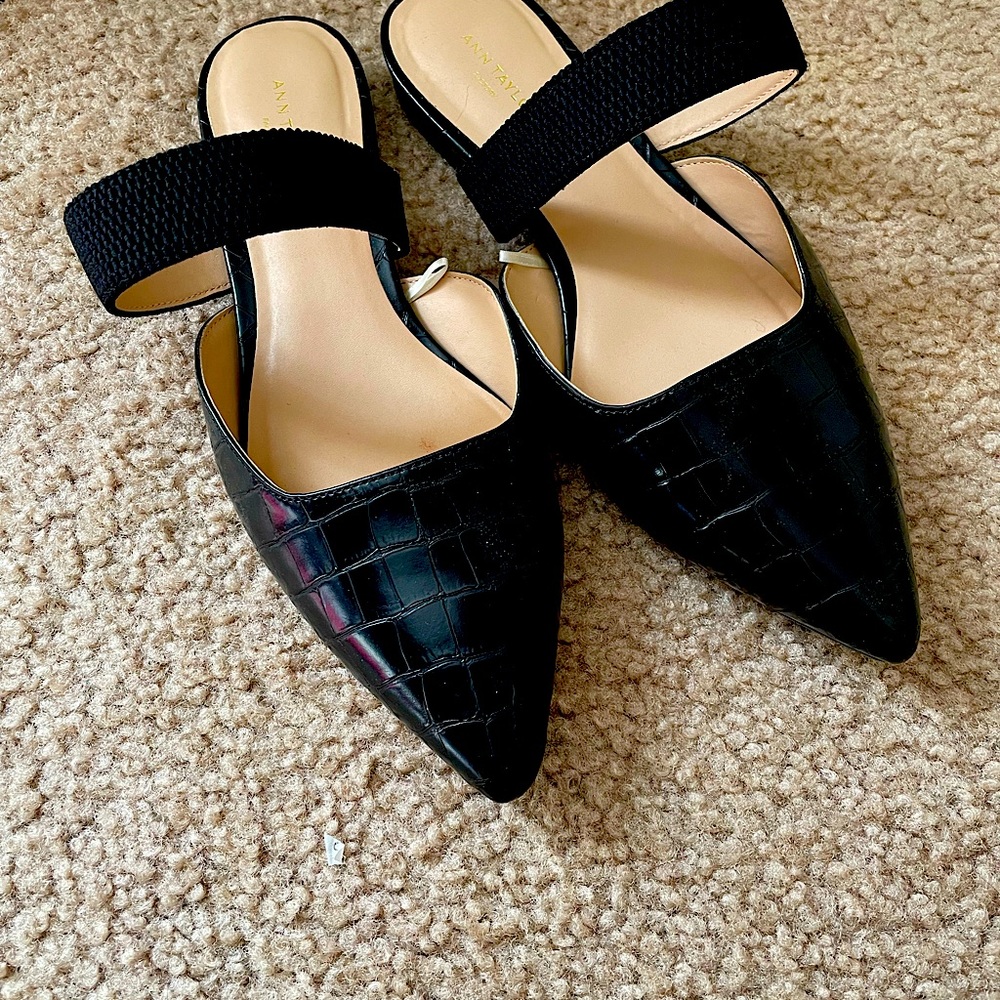 Ann Taylor Factory Slides